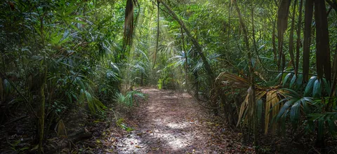 Image about most ai strategies fail before they start